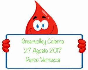 Green Volley 2017