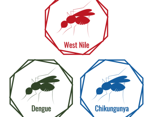 West Nile e altri virus: la mappa 2025